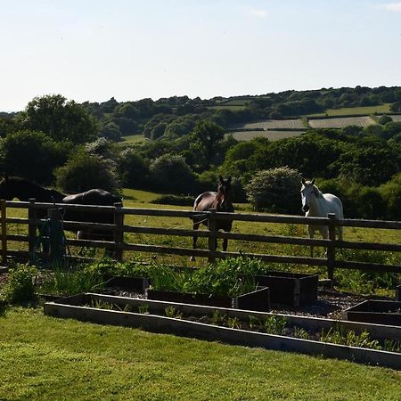 Moorland Breeze Villa Bodmin Exteriör bild