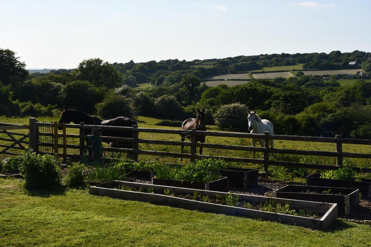 Moorland Breeze Villa Bodmin Exteriör bild